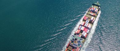 Insight Q2 2021 - Back on track?